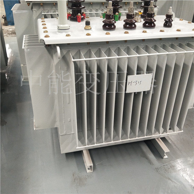 略阳S20-500KVA油浸式变压器